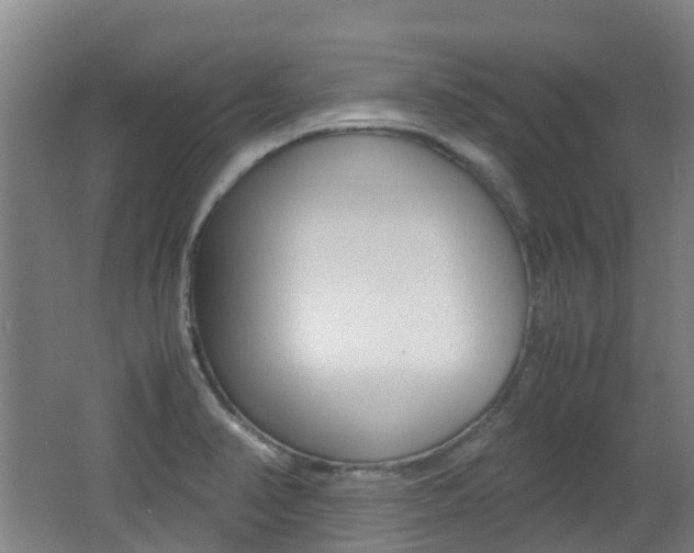 X0000062601374200512210859