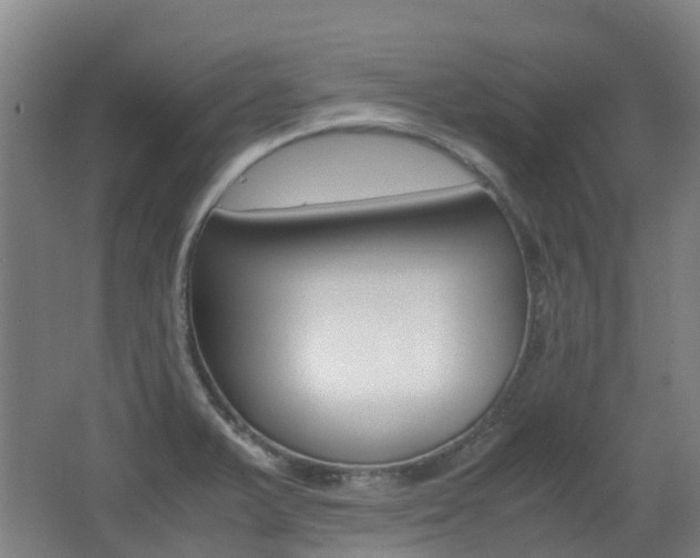 X0000062601375200512210859