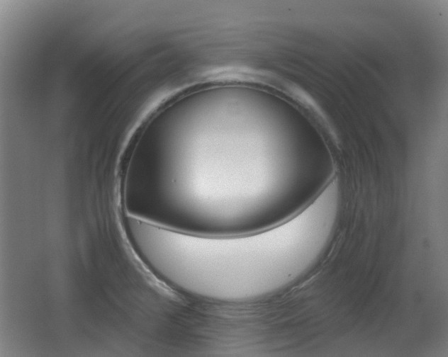 X0000062601376200512210859