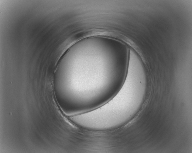X0000062601377200512210859