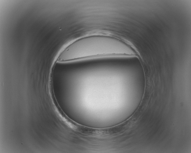 X0000062601379200512210859