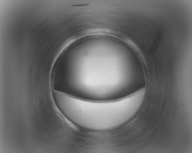 X0000062601384200512210859