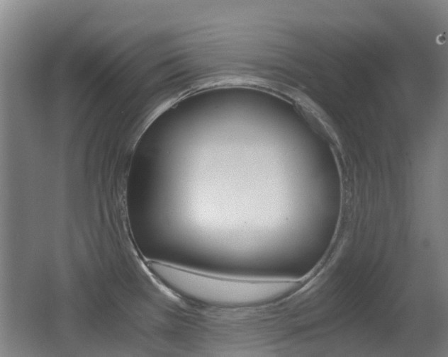 X0000062601385200512210859