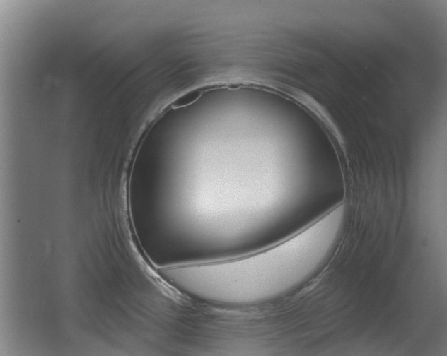 X0000062601388200512210859