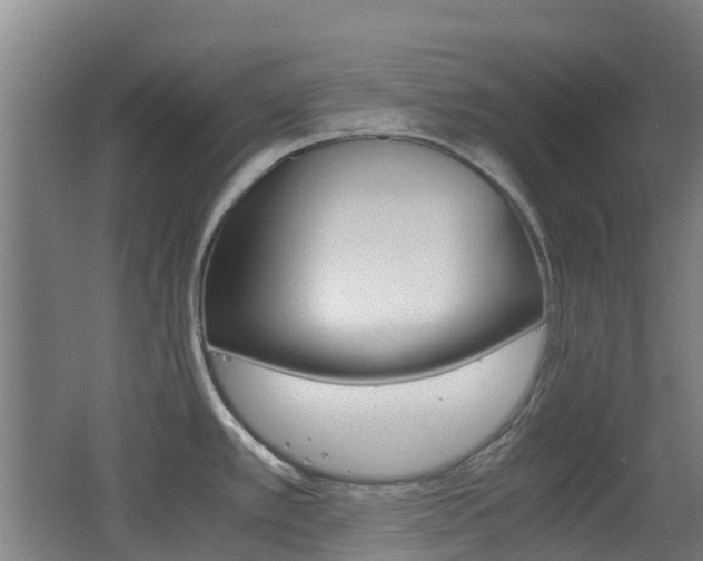 X0000062601389200512210859