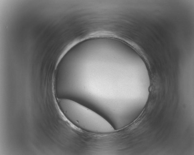 X0000062601390200512210859