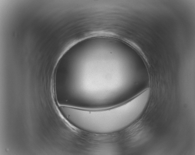 X0000062601391200512210859