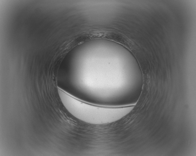 X0000062601394200512210858