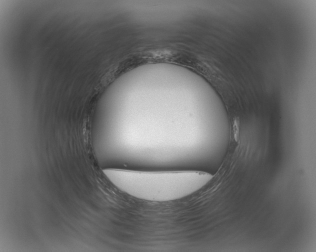 X0000062601395200512210858