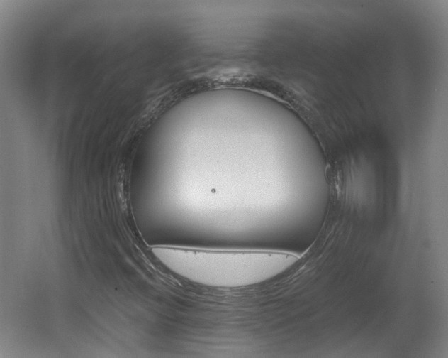 X0000062601396200512210858