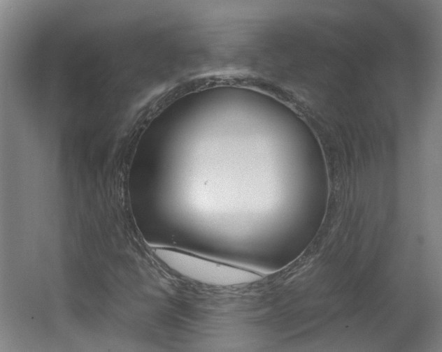 X0000062601398200512210858