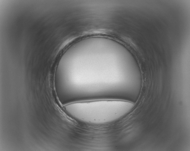 X0000062601404200512210858