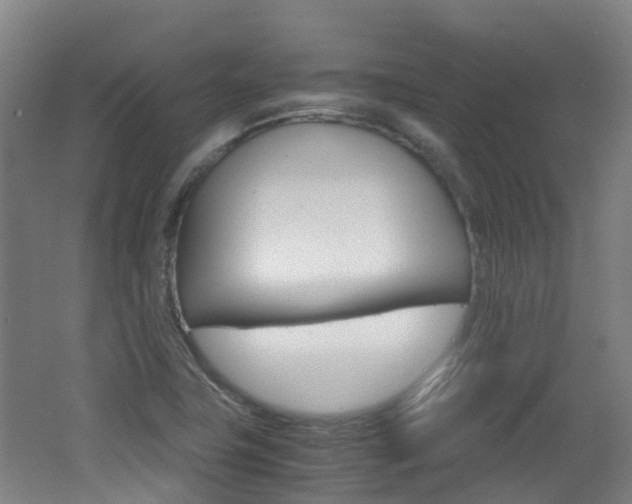 X0000062601411200512210858