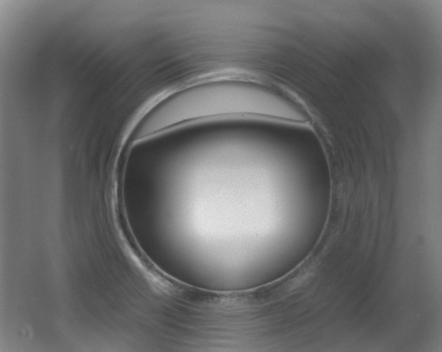X0000062601418200512210858