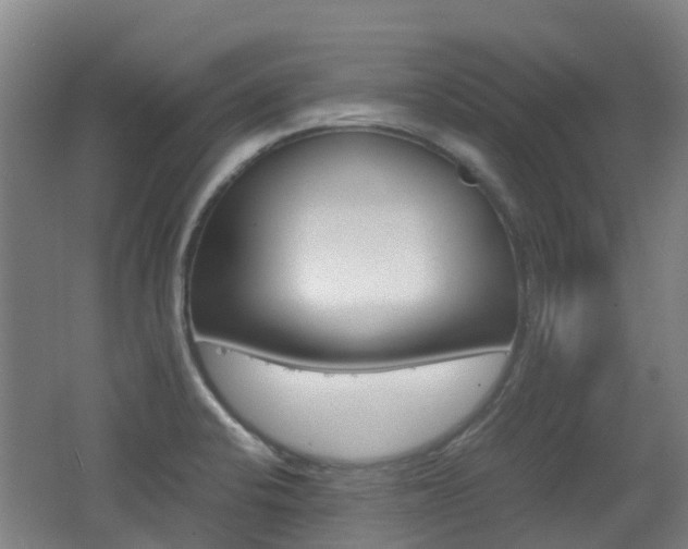 X0000062601424200512210858