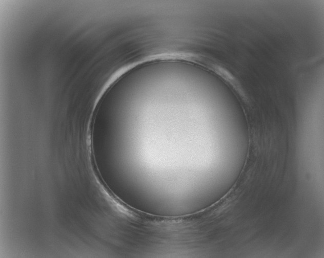 X0000062601428200512210858