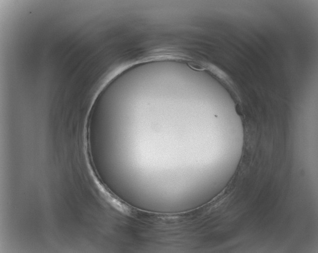 X0000062601431200512210858