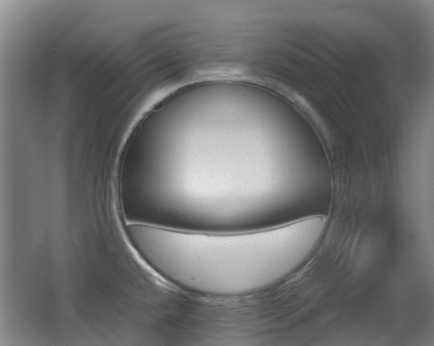 X0000062601432200512210858