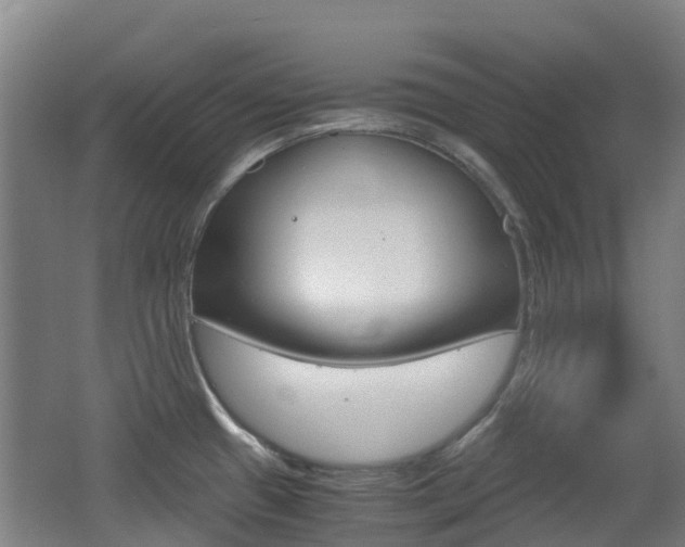 X0000062601433200512210858