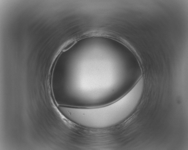 X0000062601434200512210858