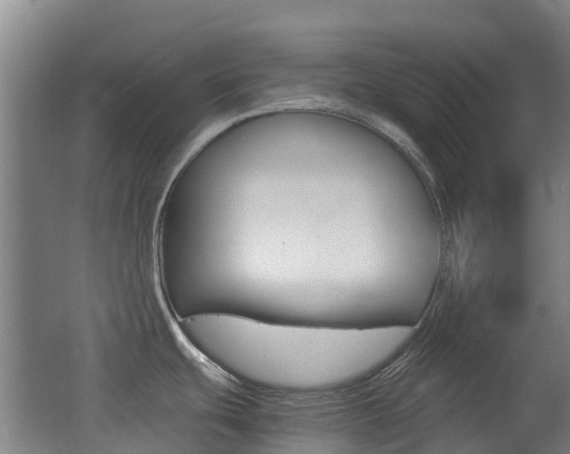 X0000062601439200512210859