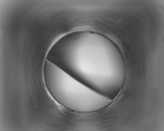 X0000062601440200512210859