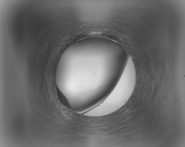 X0000062601441200512210858
