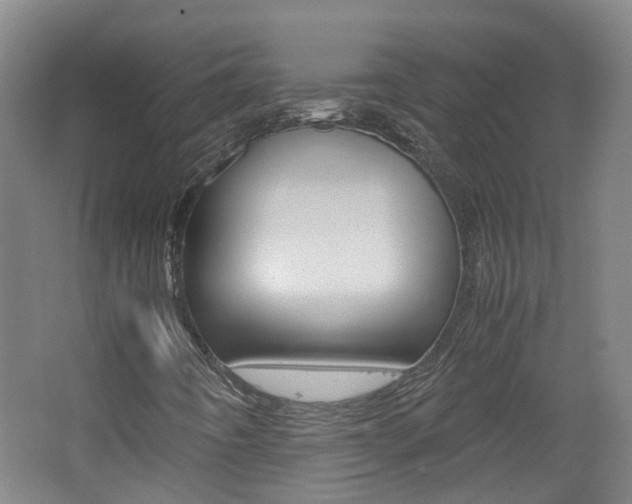 X0000062601442200512210858