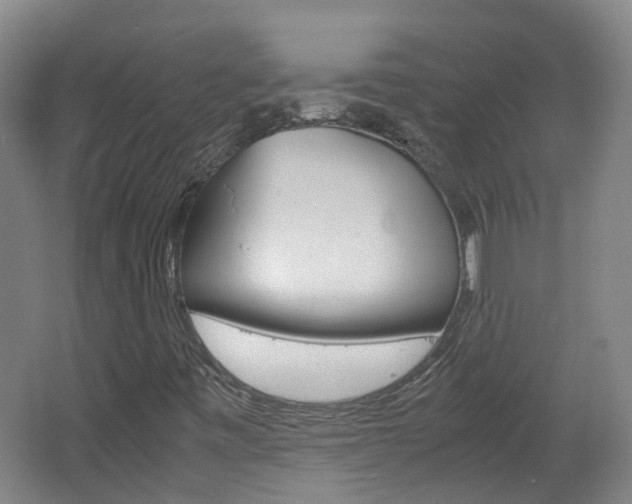 X0000062601443200512210858