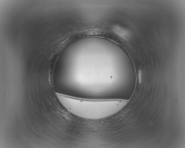 X0000062601444200512210858