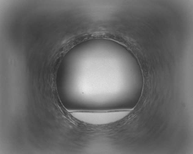 X0000062601445200512210858