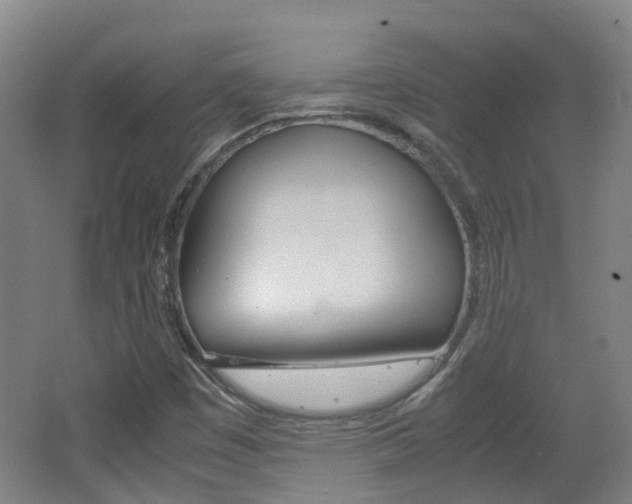 X0000062601449200512210858