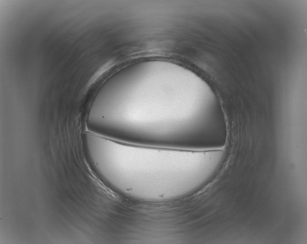 X0000062601450200512210858