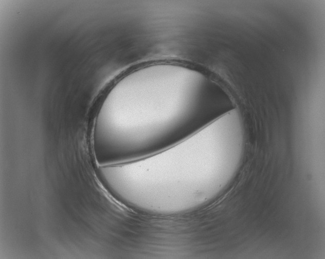 X0000062601452200512210857