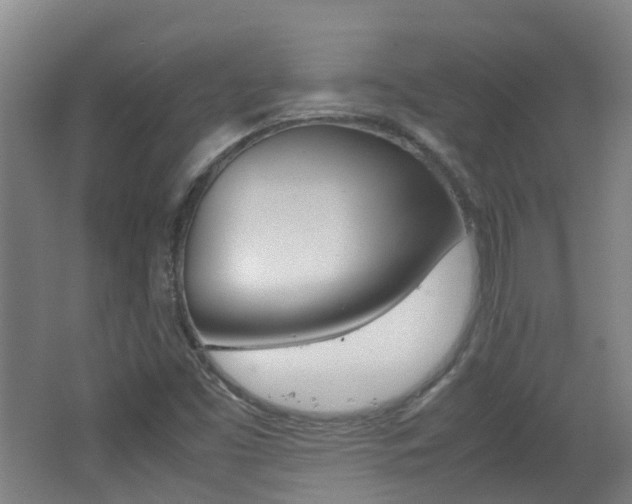 X0000062601453200512210857