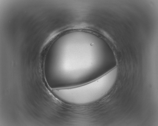 X0000062601456200512210857