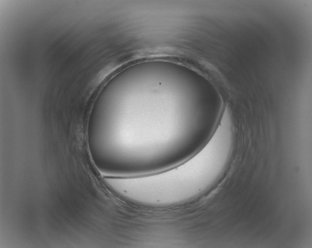 X0000062601457200512210857