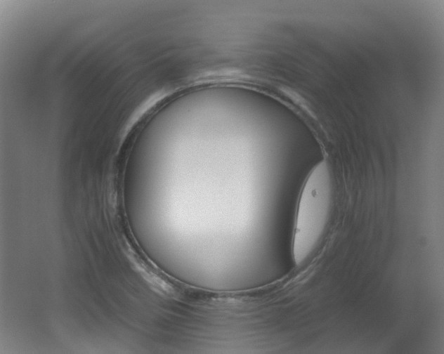 X0000062601458200512210857