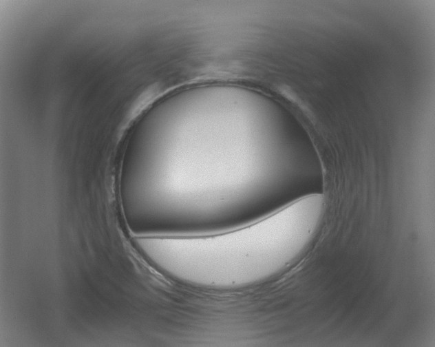 X0000062601459200512210857