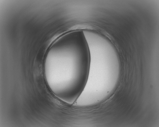 X0000062601465200512210857