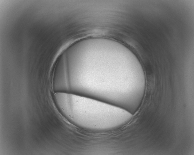 X0000062601467200512210857