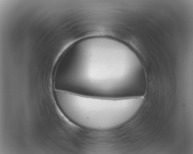 X0000062601468200512210857