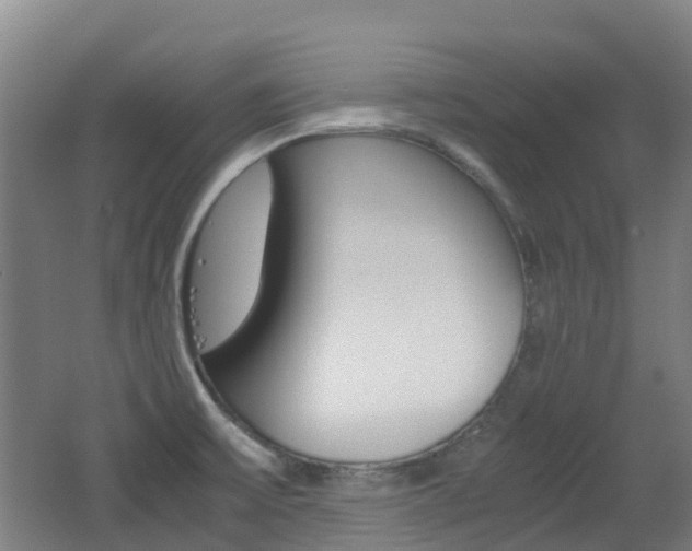 X0000062601475200512210857