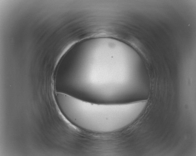 X0000062601476200512210857