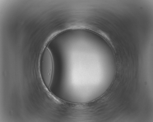 X0000062601480200512210857