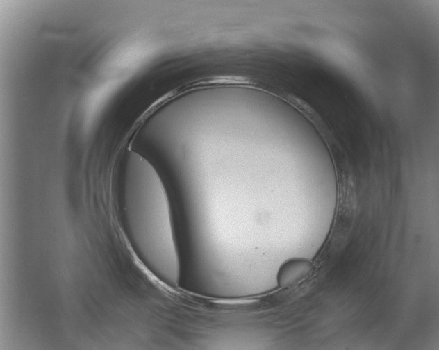 X0000062601487200512210857