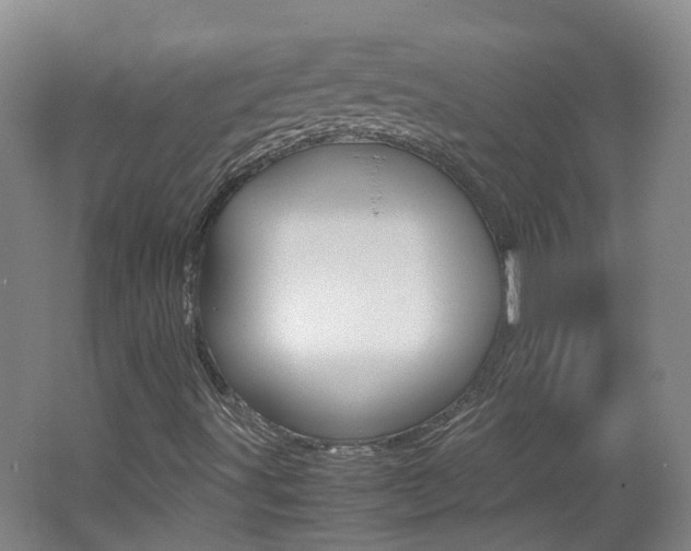 X0000062601491200512210856