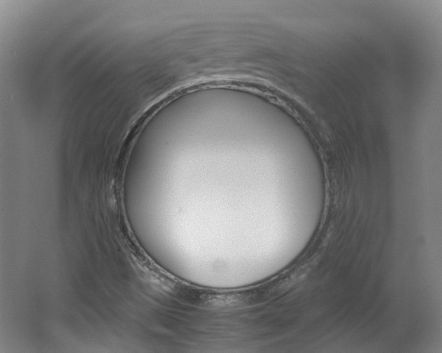 X0000062601497200512210856