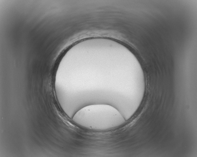 X0000062601498200512210856