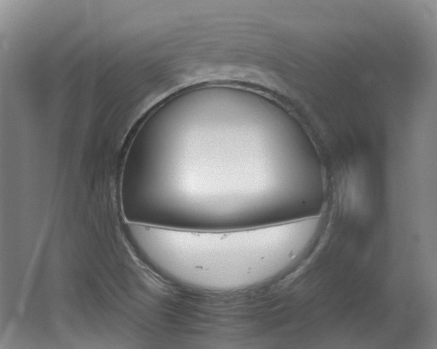 X0000062601505200512210856